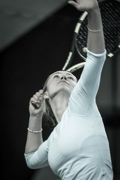 Ausschnitte 1567 - Verbandsmeisterschaft